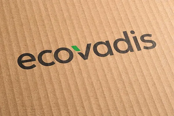 „ecovadis“-Logo auf Wellpappe gedruckt (Nahaufnahme).